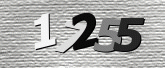 Captcha resmi